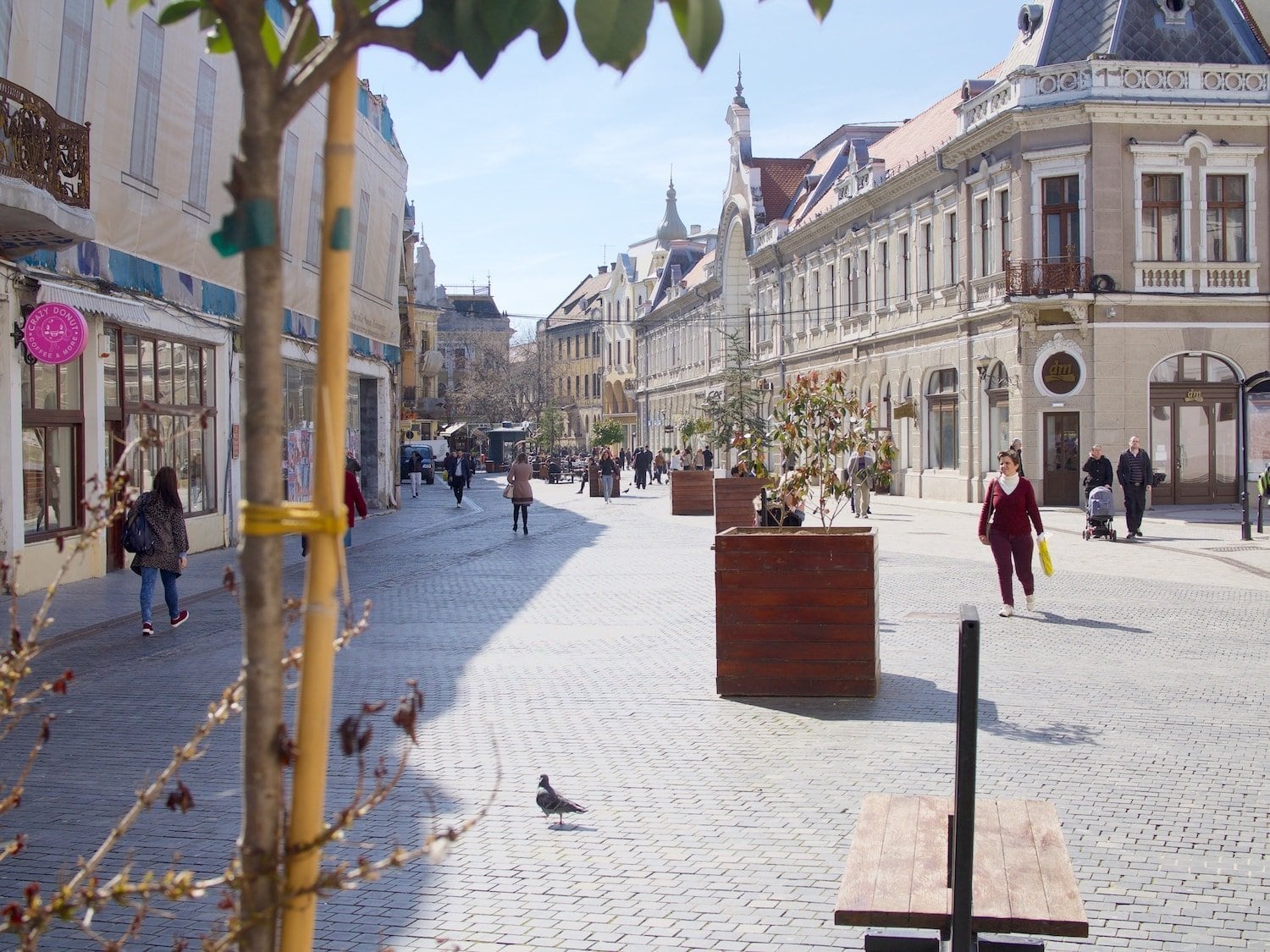 Oradea walk city centre