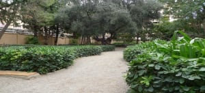 3 parks in Valencia you have to visit