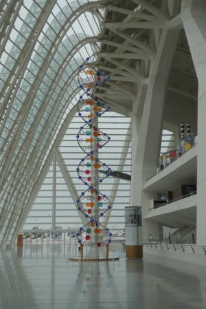 El Museo de las Ciencias Principe Felipe DNA string